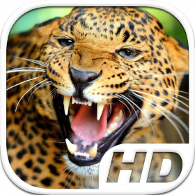 couverture jeu vidéo Leopard Simulator HD Animal Life