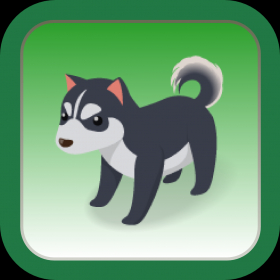 couverture jeu vidéo Let's catch dogs!