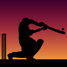 couverture jeu vidéo Little Master Cricket