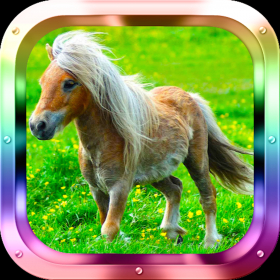 couverture jeu vidéo Little Pony Matching Adventure