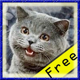 couverture jeu vidéo LolCat Quiz Free