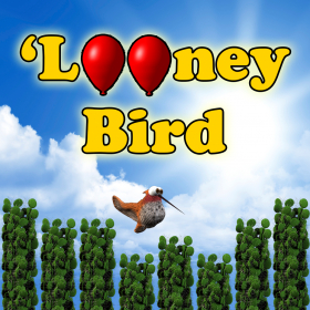 couverture jeu vidéo 'Looney Bird