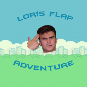 couverture jeu vidéo Loris Flap Adventure