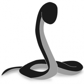 couverture jeu vidéo Loud Snakes