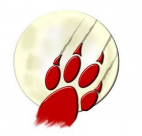 couverture jeu vidéo Loup garou