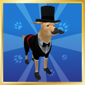 couverture jeu vidéo LuckyPup
