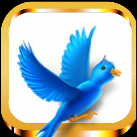 couverture jeu vidéo Lumbering Bird Rush Race Free Family Arcade Game