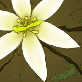 couverture jeu vidéo Maestria's Flower