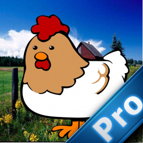 couverture jeu vidéo Magic Chicken Pro