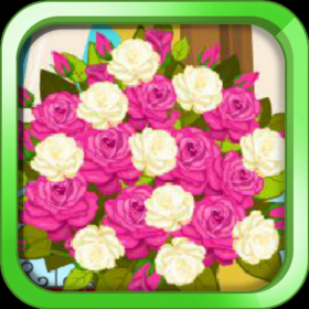couverture jeu vidéo Maritime Florist