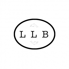 couverture jeu vidéo Master-Mind