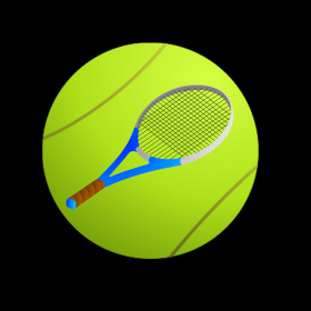 couverture jeu vidéo Master Quiz &quot;For Federer&quot;