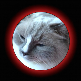 couverture jeu vidéo Meesh War