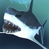 couverture jeu vidéo Meilleur Jeux de Requin de Courses Simulation pour Enfants 3D