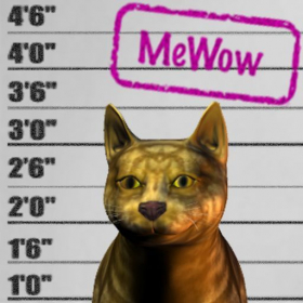 top 10 éditeur MeWow!