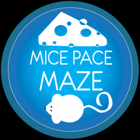 couverture jeux-video MicePaceMaze Squares Free