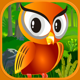 couverture jeu vidéo Mignon Bébé Hibou Planeur - Épique Défi de Survie dans la Jungle