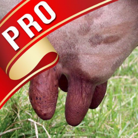 couverture jeu vidéo Milk it! Pro