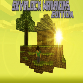 couverture jeu vidéo Mini Game - Skyblock Warriors Edition