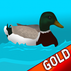 couverture jeux-video Minuscule plastique Racing de canard: Summer Course de l'eau pour gagner - Gold Edition