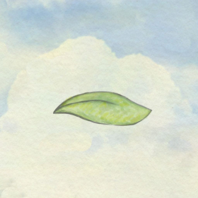 couverture jeu vidéo Miss Wind