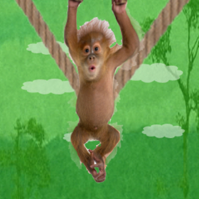 couverture jeu vidéo Monkey Shoots