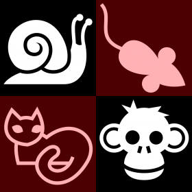 couverture jeu vidéo Move 'n Match