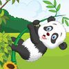 couverture jeux-video Mr Panda Bear Pop And Hop (Pro)