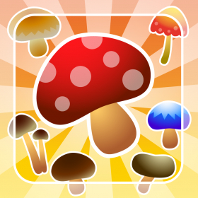 couverture jeu vidéo MushroomHunter