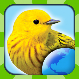 couverture jeu vidéo My Bird World