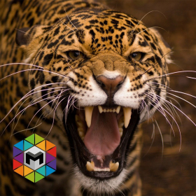 couverture jeu vidéo My Jaguar Simulator