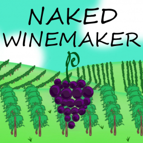 couverture jeu vidéo Naked Winemaker