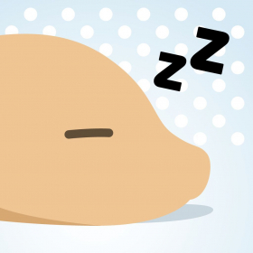 couverture jeu vidéo Nap Ice Road