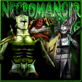 couverture jeu vidéo Necromancer Rising Reborn