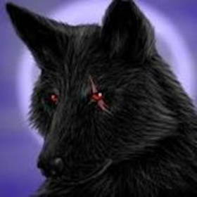 couverture jeu vidéo Nightmare Wolf: Dash of Doom