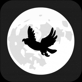 couverture jeu vidéo Nighty Bird