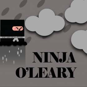couverture jeu vidéo Ninja O'Leary