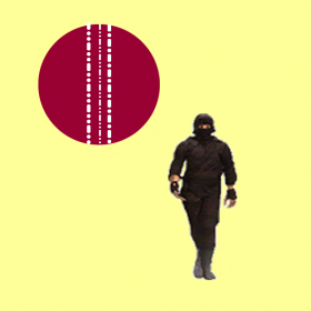 couverture jeu vidéo Ninjya Cricket