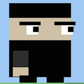 couverture jeu vidéo Ninjya!