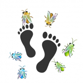 couverture jeu vidéo No Lost