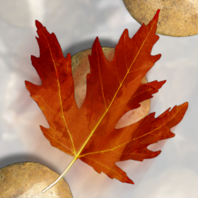 couverture jeu vidéo Northstar Checkers