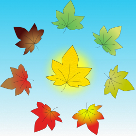 couverture jeu vidéo Nutty Leaf