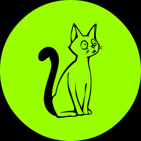 couverture jeu vidéo O-Cat