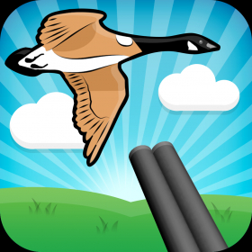 couverture jeu vidéo Oiseau saison
