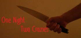 couverture jeu vidéo One Night Two Crazies