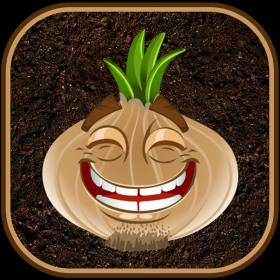 couverture jeu vidéo Onions
