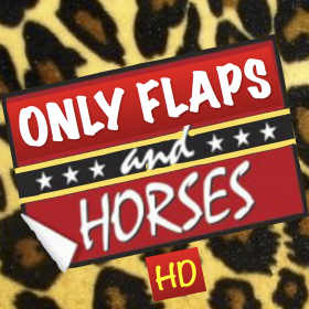 couverture jeu vidéo Only Flaps And Horses HD