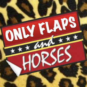 couverture jeu vidéo Only Flaps And Horses