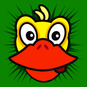 couverture jeu vidéo Operation Duck Storm