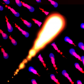 couverture jeu vidéo Orb Attack